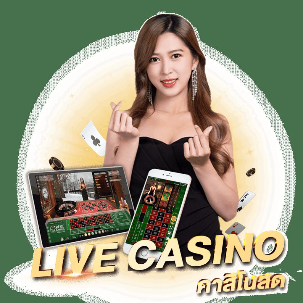 M358 คาสิโนอันดับหนึ่ง พร้อมโบนัสสุดคุ้มและเกมหลากหลาย