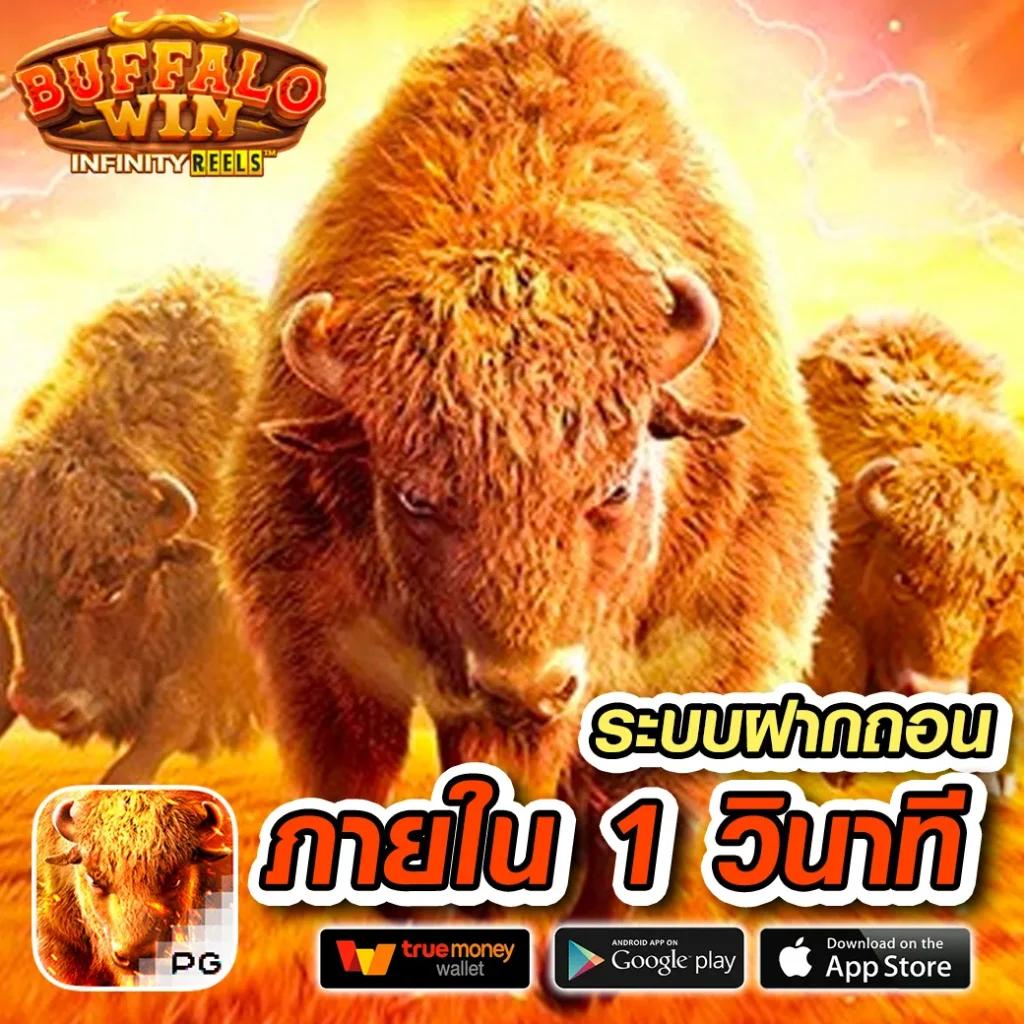 d199สล็อต คาสิโนออนไลน์อันดับหนึ่ง เล่นง่ายจ่ายจริงมากที่สุดในไทย