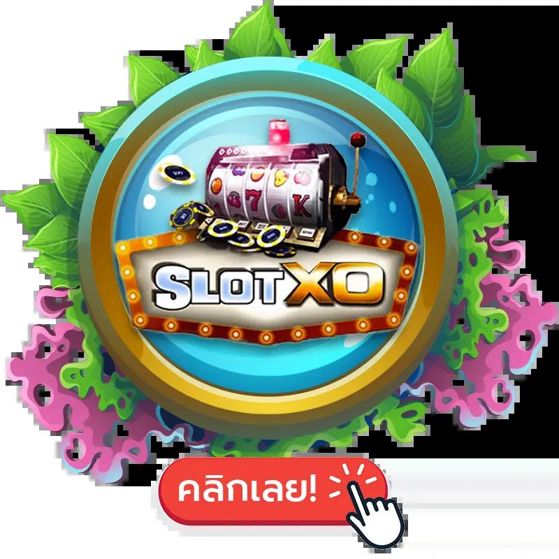 ดูบอลสดทุกคู่วันนี้ พร้อมข้อมูลอัปเดตล่าสุดทุกแมตช์